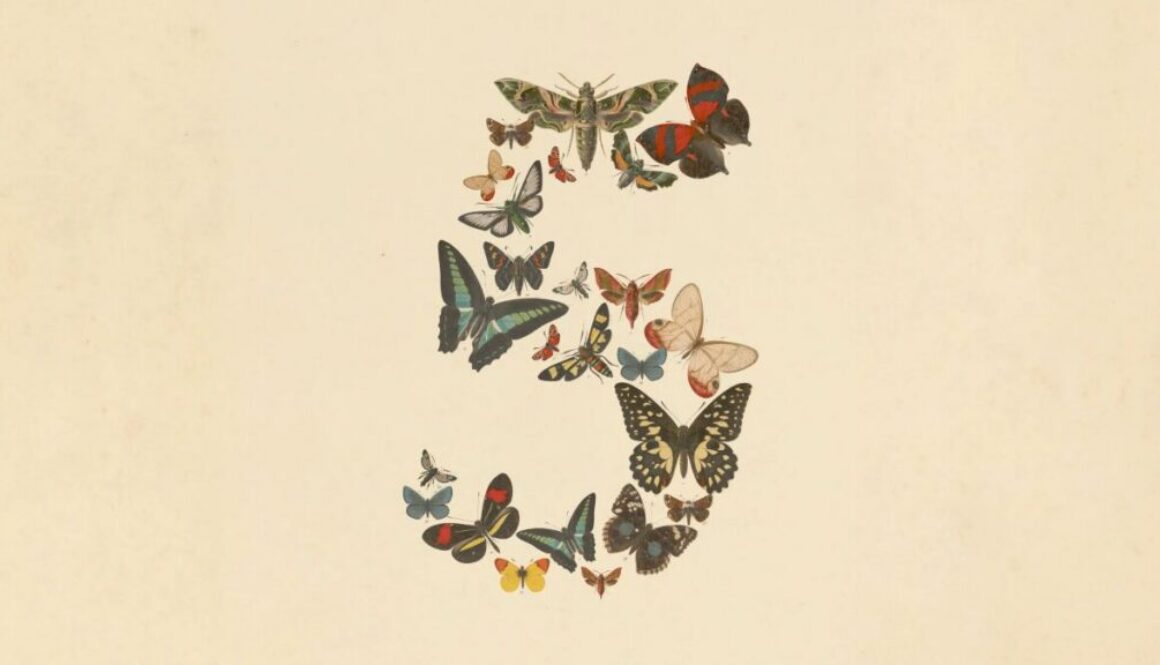 Butterfly and moth specimens forming the numeral five, Anthropic's launch image for Claude Mythos 5 and Claude Fable 5.