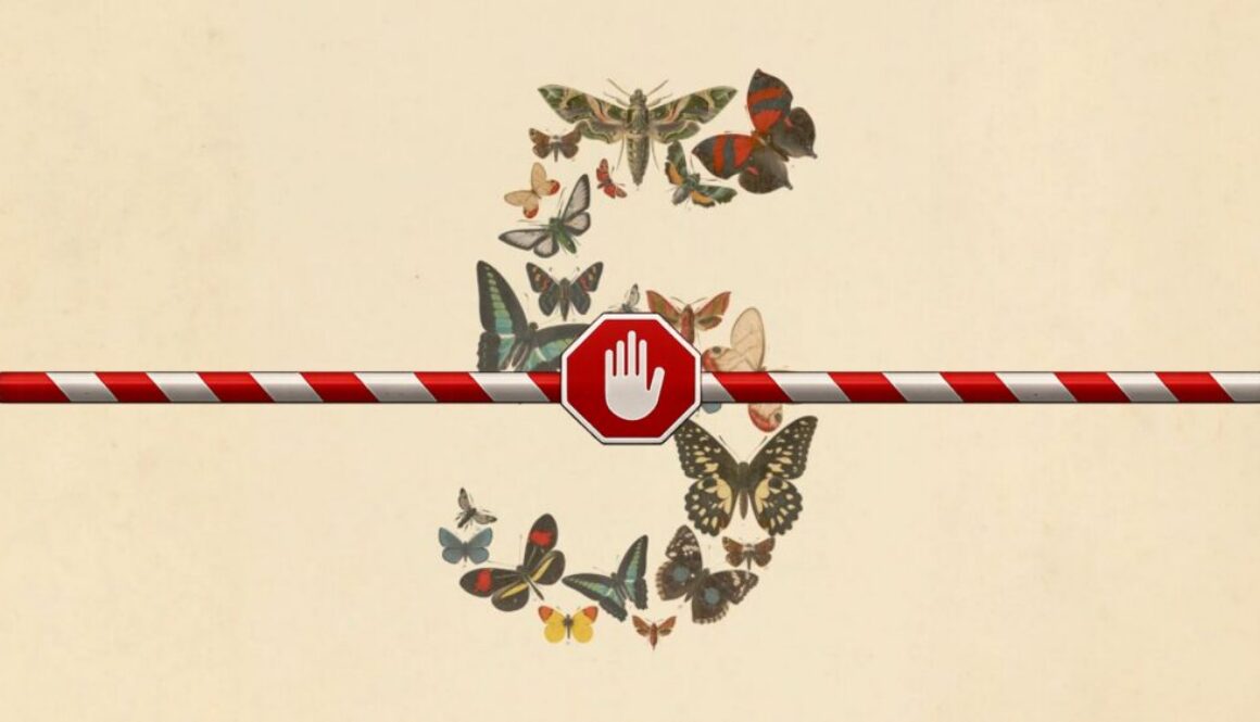Butterfly and moth specimens forming the numeral five, cut by a red and white barrier with a stop sign, representing the suspension of Fable 5 and Mythos 5 access.