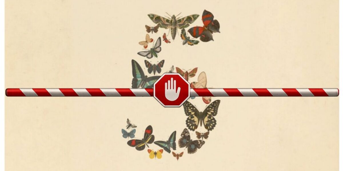 Anthropic Shuts Down Fable 5 and Mythos 5 After US Government Security Directive