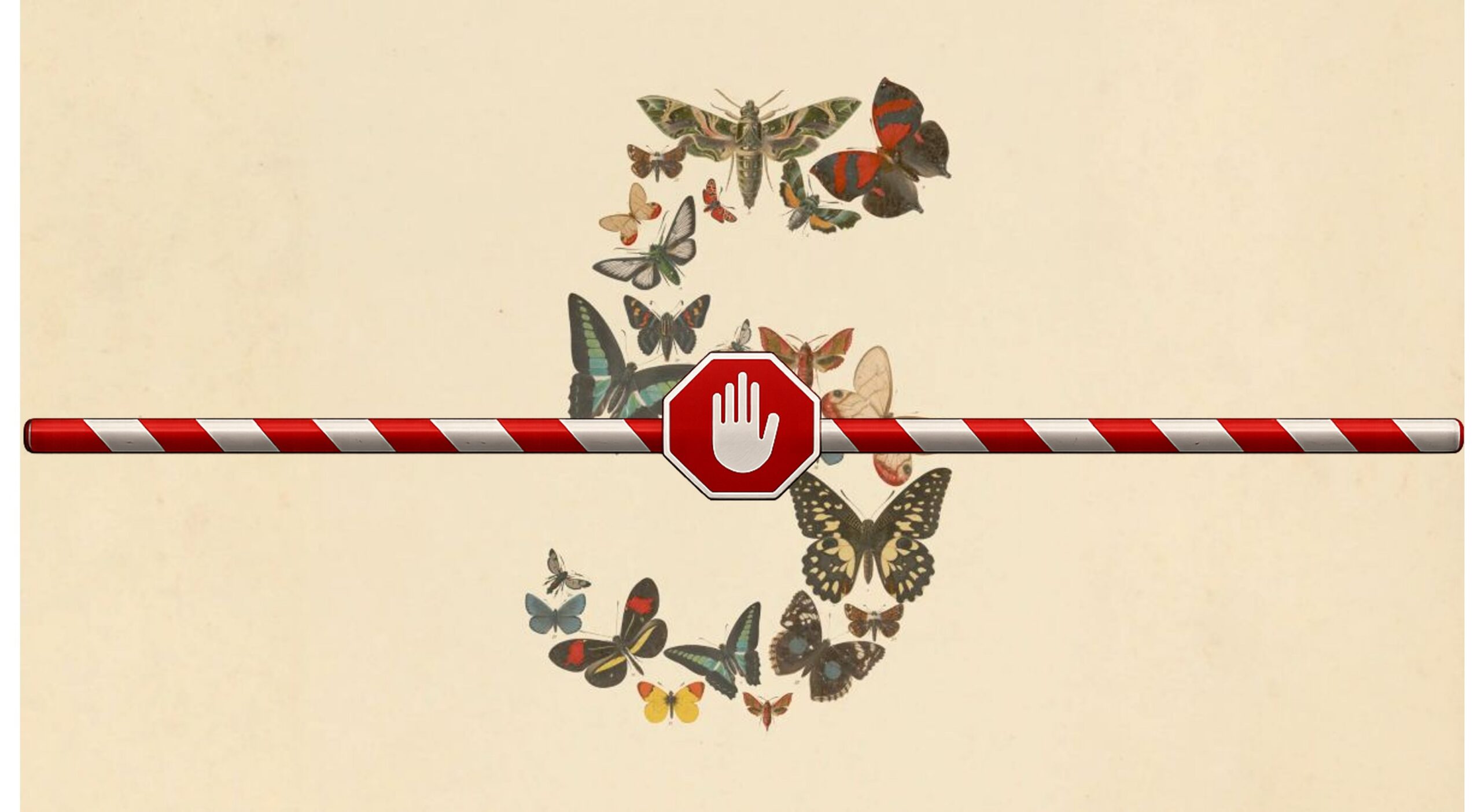 Anthropic Shuts Down Fable 5 and Mythos 5 After US Government Security Directive