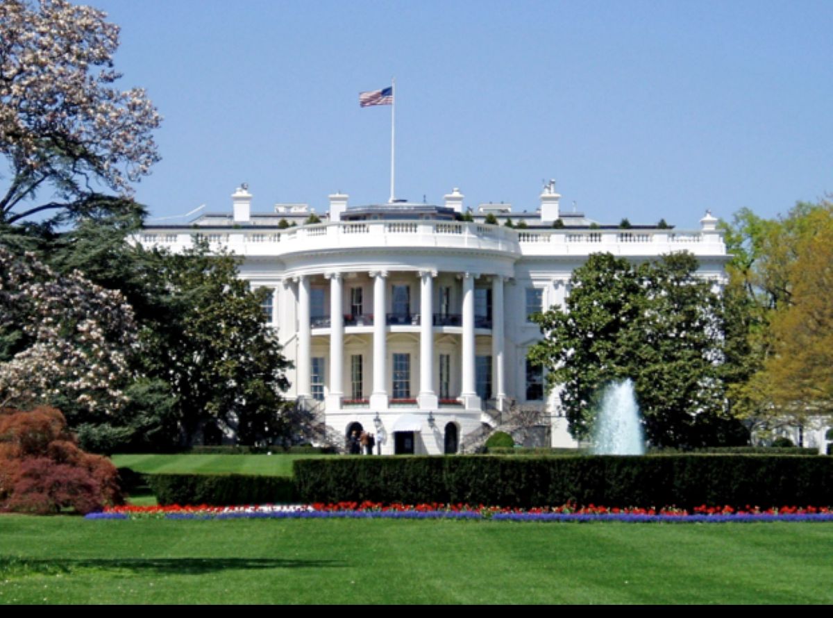 White House Executive Order, NSPM-11, Empowers Agencies to Terminate AI Vendor Contracts Over Usage Limits